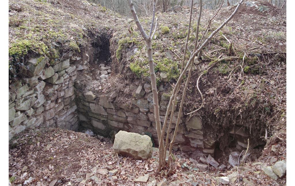 Oberburg auf dem mittleren Teil des Burgberges. Stelle der anscheinend ungenehmigten Grabung südwestlich des (mutmaßlichen) turmartigen Gebäudes an der höchsten Stelle. Mauerzug in Nord-Süd-Richtung, auf etwa 3,5 m Länge freigelegt, noch etwa 1 m hoch. Ansicht von Ost-Nordost. (2006)
Copyright-Hinweis: Foto: Uwe Welz Fotograf/Urheber: Uwe Welz Medientyp: Bild